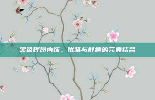 黑色辉昂内饰,优雅与舒适的完美结合