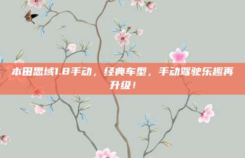 本田思域1.8手动,经典车型,手动驾驶乐趣再升级!