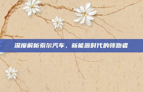 深度解析索尔汽车,新能源时代的领跑者